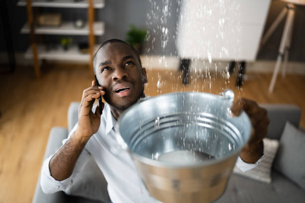 Best Flood restoration services  in Muncy, PA