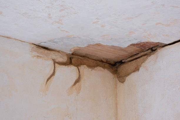 Best Fire Damage Restoration  in Muncy, PA