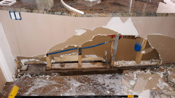 Best Flood damage cleanup  in Muncy, PA