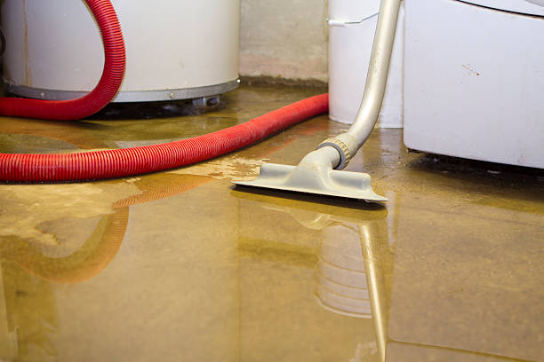 Best Water damage contractors near me  in Muncy, PA