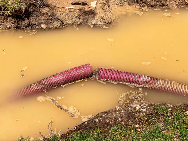 Best Commercial water damage restoration  in Muncy, PA