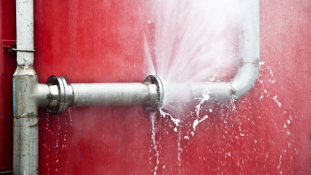 Best Water damage restoration near me  in Muncy, PA